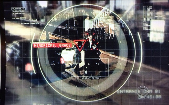 Person of Interest Samaritan